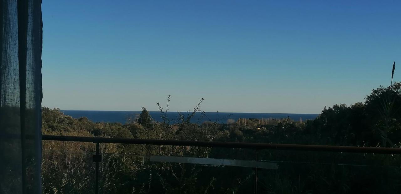 Villa Angelini Valle-di-Campoloro Kültér fotó