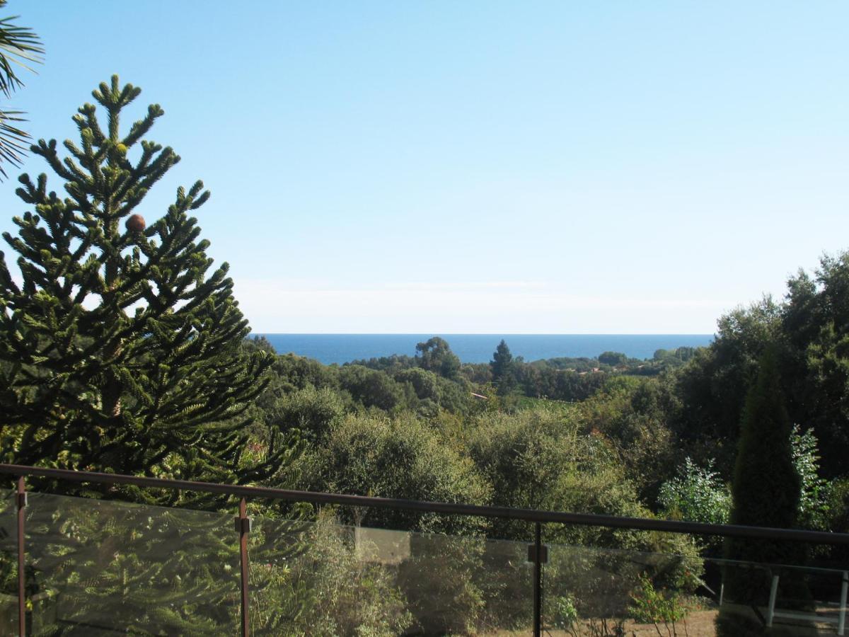 Villa Angelini Valle-di-Campoloro Kültér fotó